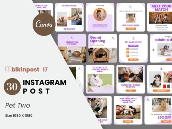 Download Pet Two Canva Instagram Post Template - Canva Collection